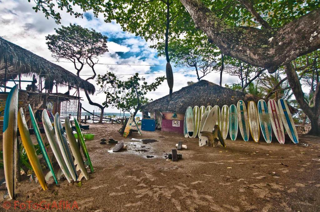 Cabarete Surf Camp Hotel Exterior photo