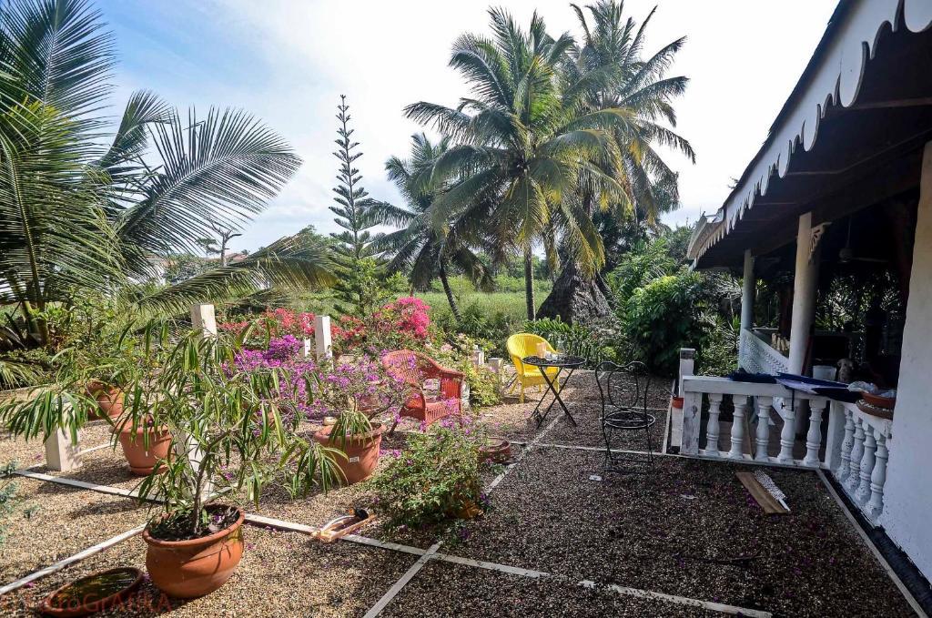 Cabarete Surf Camp Hotel Exterior photo